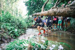 BIB: 
                            <button type="button" onclick="openModal(25471832)" class="btn btn-primary btn-sm float-right btn-popup" data-toggle="modal" data-target=".modal-high-quality">
                        <i class="fas fa-shopping-cart"></i> Add to Cart
                    </button>
                                            <button type="button" onclick="isThisMe(25471832, true)" class="btn btn-success btn-sm float-right btn-popup btn-isme hidden" data-toggle="tooltip" data-placement="bottom" title="นี่คือรูปของคุณใช่ไหม คลิกที่นี่เพื่อเอาเข้าอัลบั้ม">
                        <i class="fas fa-plus"></i> Add to album
                    </button>
                    <button type="button" onclick="isThisMe(25471832, false)" class="btn btn-warning btn-sm float-right btn-popup btn-isnotme hidden">
                        <i class="fas fa-ban"></i> Remove from album
                    </button>